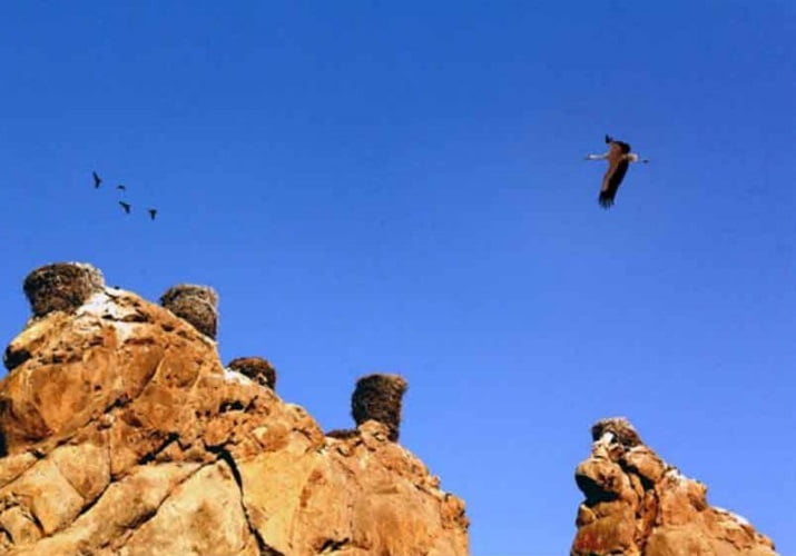  قلعه لک لک ها