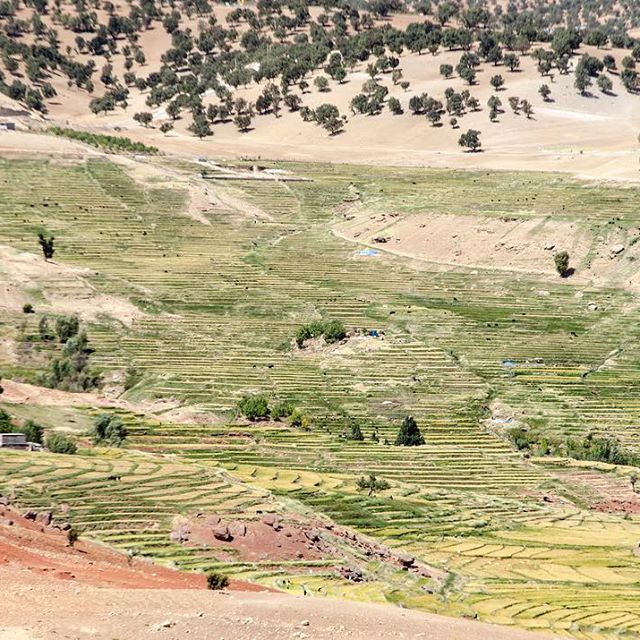 شوران آبسرده شوران آبسرده