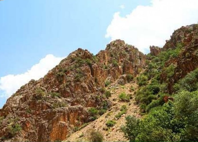  منطقه مشایخ
