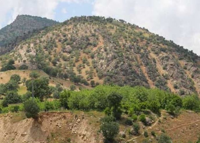  منطقه مشایخ