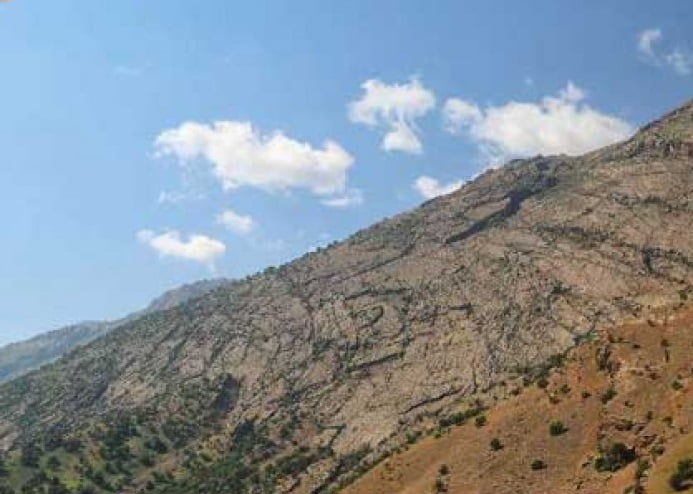  منطقه مشایخ