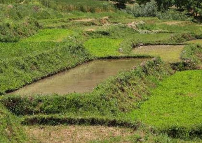  منطقه مشایخ