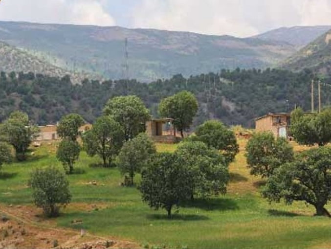  منطقه مشایخ