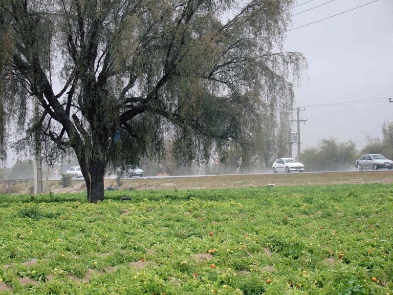  کهورستان