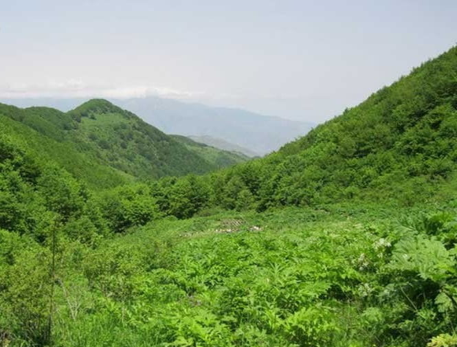 منطقه دیزمار منطقه دیزمار