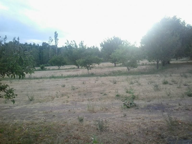  باغ حسین آباد گلتپه طغامین