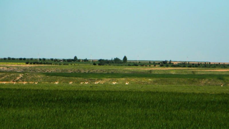 دشت سهرین دشت سهرین
