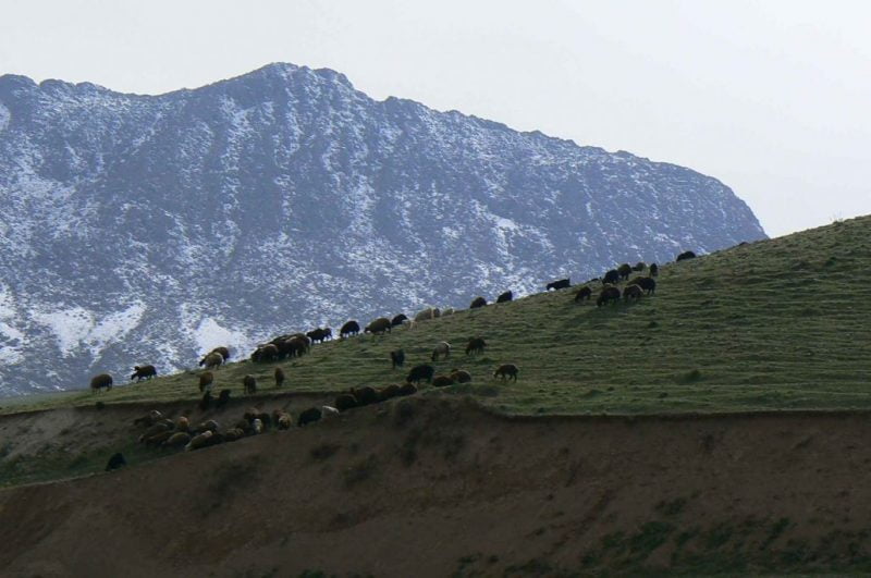 روستای گیجالی بالا روستای گیجالی بالا