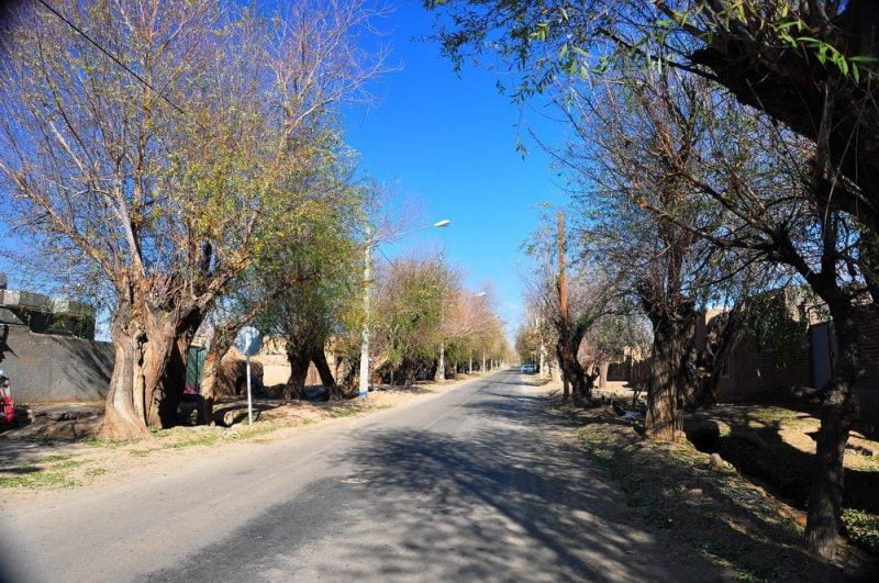  روستای باغستان تفت