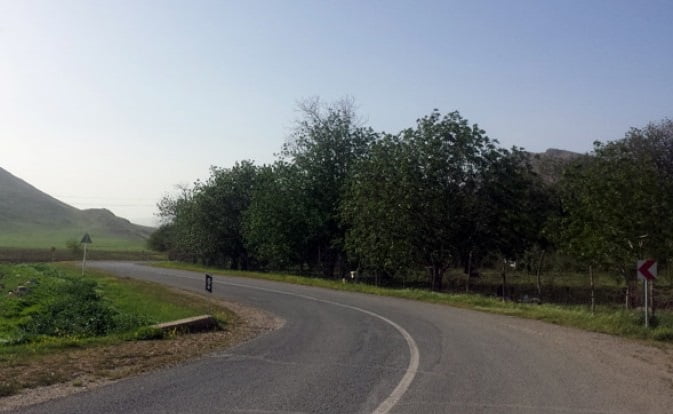  روستای بید سرخ