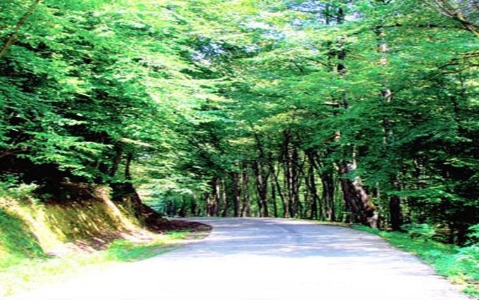  روستای اتو