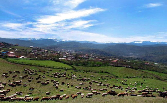  روستای اتو