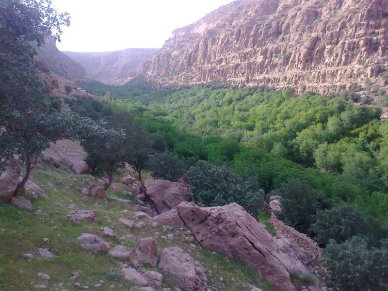  روستای نجار گلین