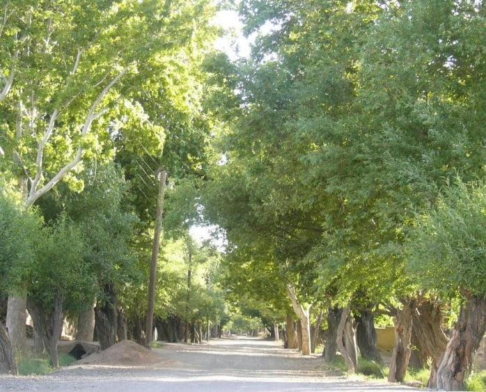روستای باغستان علیا روستای باغستان علیا