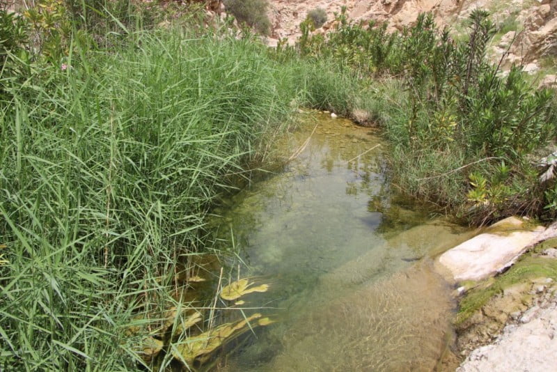  تنگ درهِه زاهدمحمود