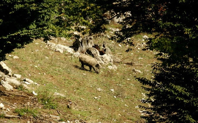  روستای تیلک