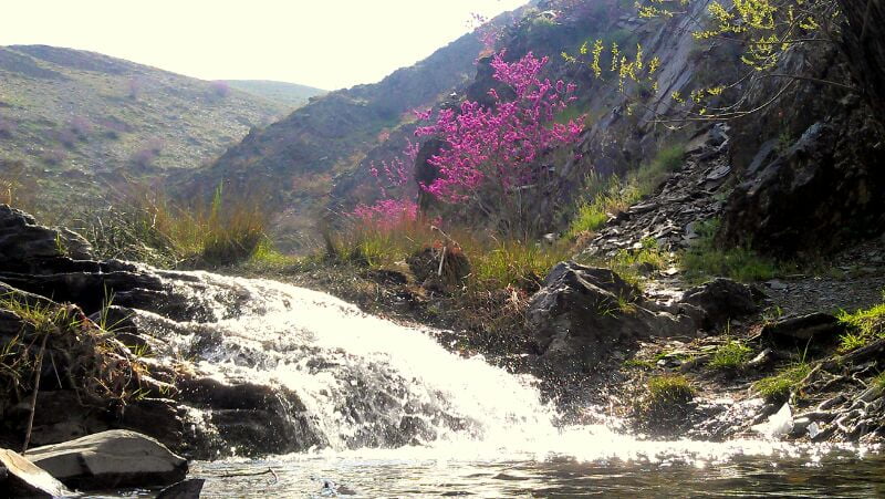 روستای کلاته آهن روستای کلاته آهن