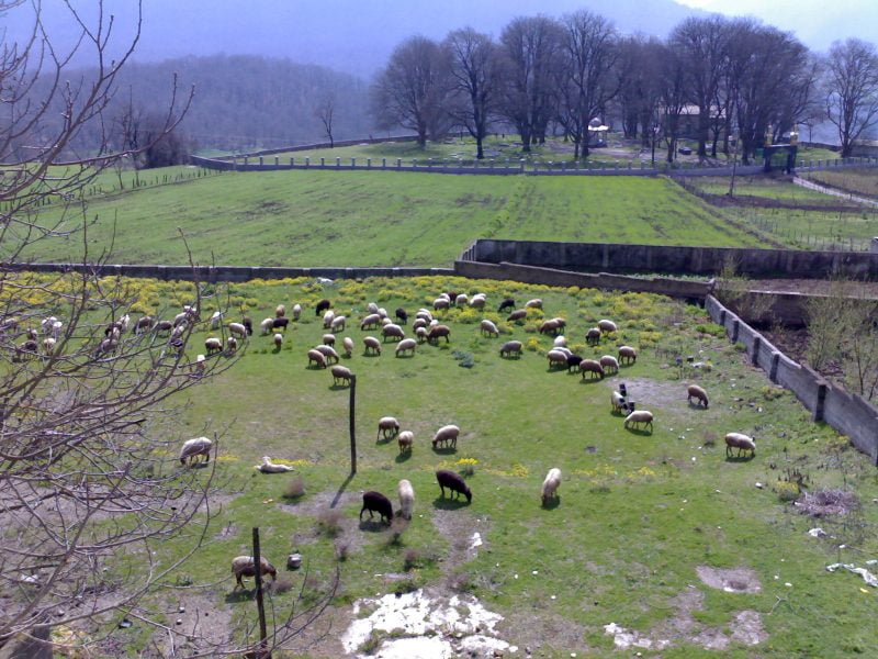  روستای ورند