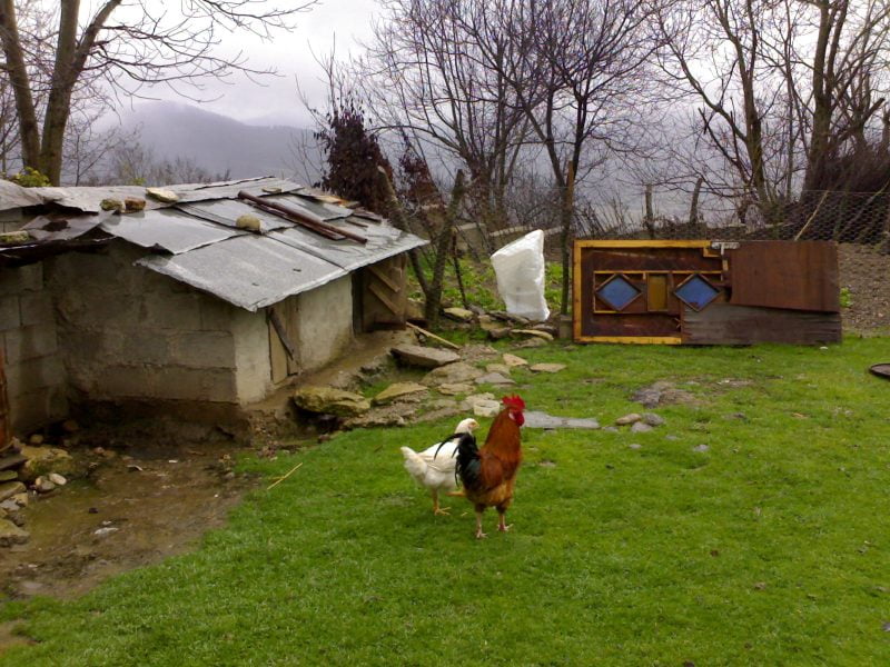  روستای ورند