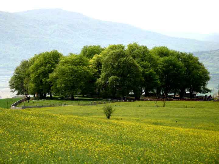  روستای ورند