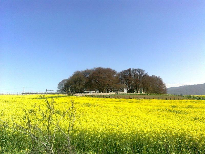  روستای ورند