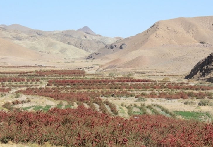 روستای روم روستای روم