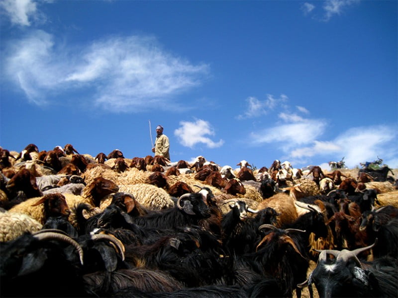  روستای سرایجوق