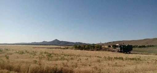 روستای سفته روستای سفته