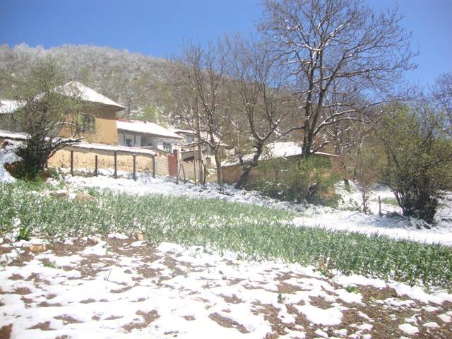  روستای اسکارد