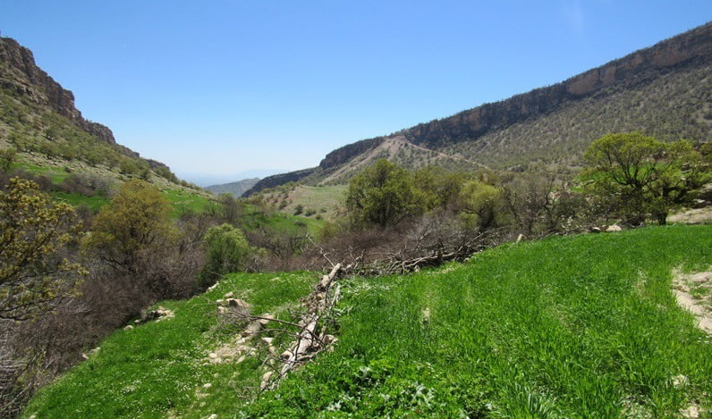  روستای عروه