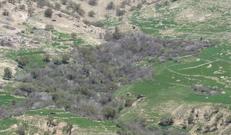  روستای عروه