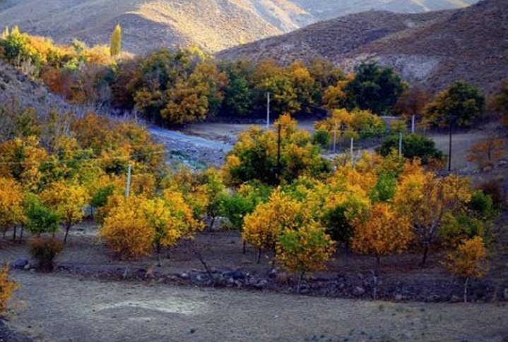  روستای بیدخوان