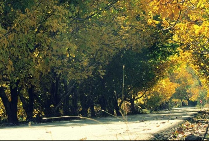  روستای بیدخوان