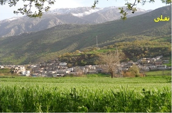 روستای تفلی روستای تفلی
