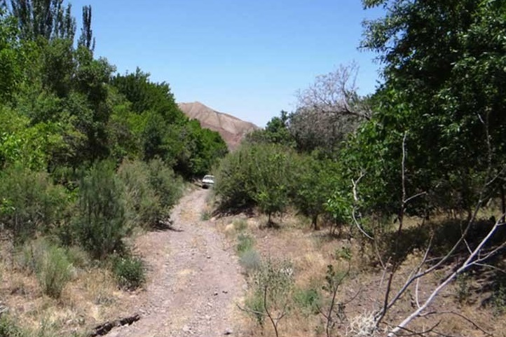  روستای مسینان