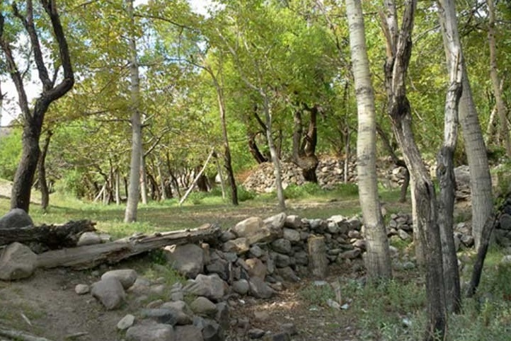  روستای مسینان