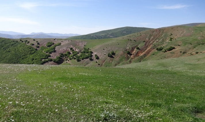 روستای کلکنار روستای کلکنار