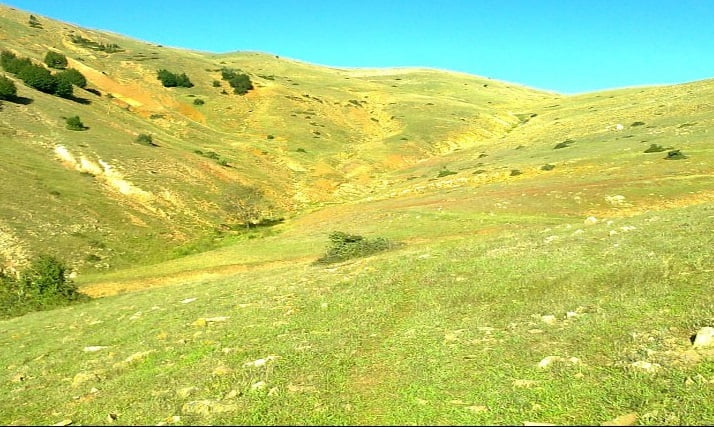 روستای کلکنار روستای کلکنار