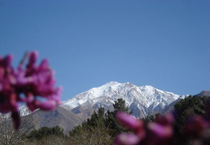  کوه بل