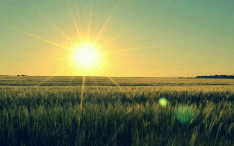 روستای امیر آباد نو  روستای امیرآباد نو