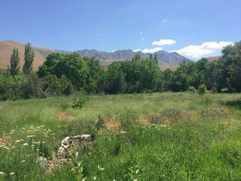 روستای ارنگه روستای ارنگه کرج