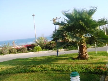 پارک شهر قشم پارک شهر قشم پارک شهر قشم