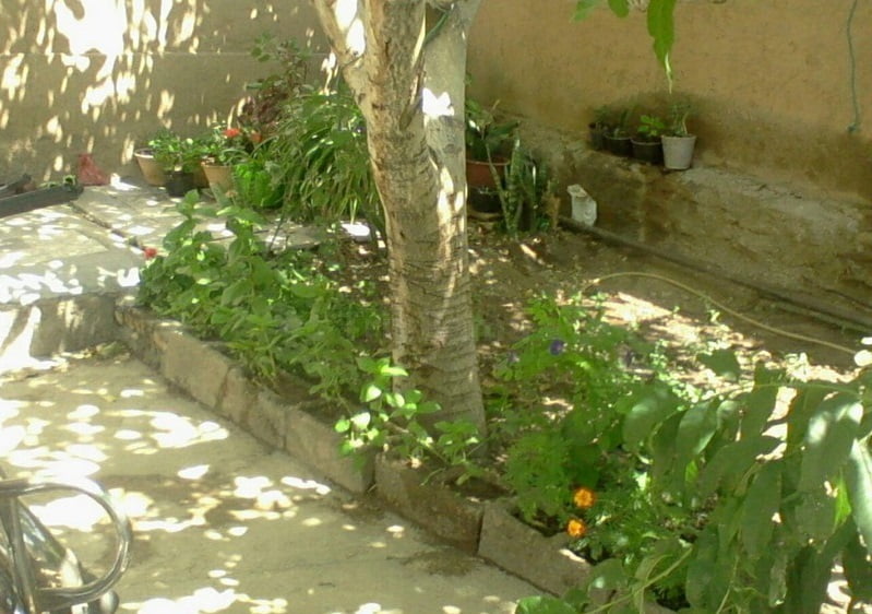 اقامتگاه بومگردی کومه سبز  اقامتگاه بوم گردی کومه سبز شاهرود
