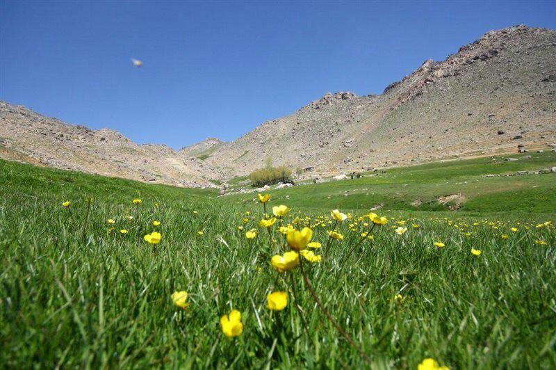 اقامتگاه میترای دشت میشان همدان اقامتگاه میترای دشت میشان اقامتگاه میترای دشت میشان همدان