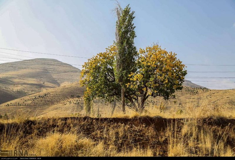 جاذبه های گردشگری پاییزی کردستان جاذبه های پاییزی کردستان جاذبه های گردشگری پاییزی کردستان
