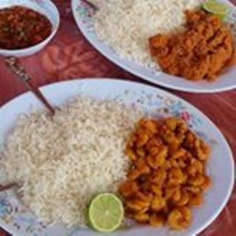 پودینی کوسه  پودینی کوسه یا سفره ماهی قشم