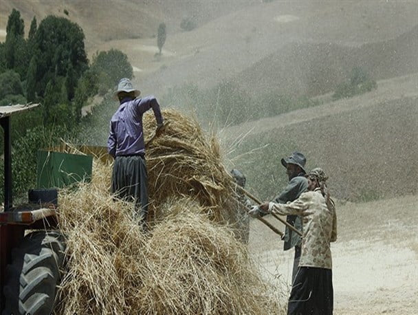 آوای کار کشاورزی کردستان آوای کار کشاورزی کردستان