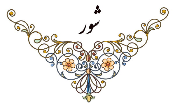 دستگاه شور  دستگاه شور
