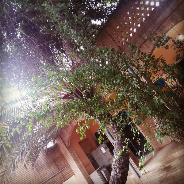 عمارت ماپار عمارت ماپار اهواز