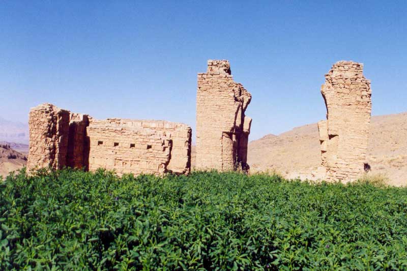 جاهای دیدنی محلات در بهار آتشکوه جاهای دیدنی محلات در بهار